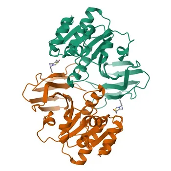 Anti-TPK1 Polyclonal Antibody for WB and ELISA - Q9H3S4