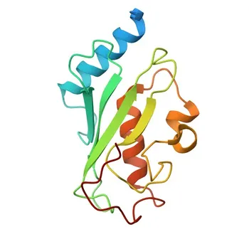 Anti-UBE2V1 Polyclonal Antibody for WB, ELISA - Q13404