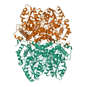 Anti-GLDC Polyclonal Antibody for WB, IF/ICC, IP, ELISA - P23378