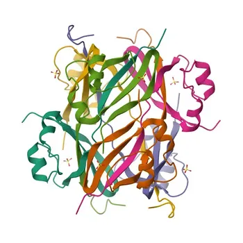 Anti-CKS2 Polyclonal Antibody for WB, ELISA - P33552