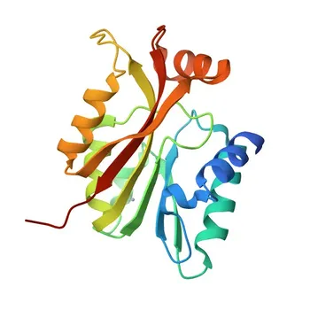 Anti-CIAPIN1 Polyclonal Antibody for WB, IF/ICC - Q6FI81