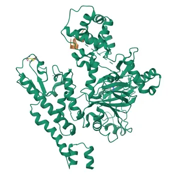 Anti-KDM5A Polyclonal Antibody for WB, IP, ELISA, ChIP - P29375