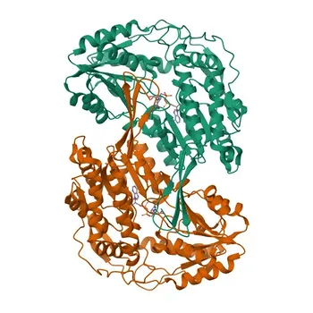Anti-ALDH1B1 Polyclonal Antibody for WB, IF/ICC, ELISA - P30837