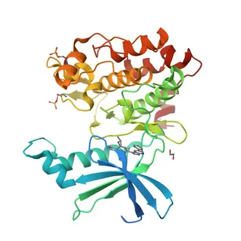 Anticorpo Policlonale Anti-CAMKK2 per WB, IF/ICC, ELISA - Q96RR4