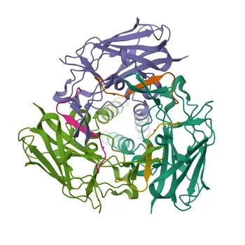 Anticorpo Monoclonal Anti-Nesprin3 (KASH3) para WB, ELISA - Q6ZMZ3