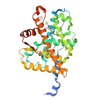 Anti-Mineralocorticoid receptor (NR3C2) Rabbit pAb - P08235