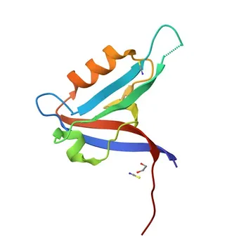 Anti-GRIP1 Polyclonal Antibody for WB, ELISA - Q9Y3R0