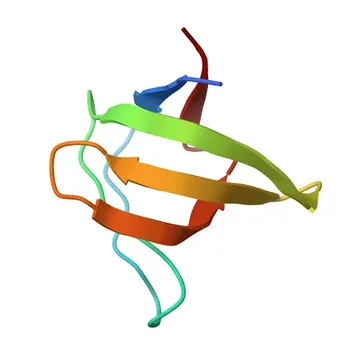 Anticorpo Policlonale Anti-LASP1 per WB, IF/ICC, IP, ELISA - Q14847