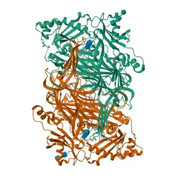 AOC1 Rabbit Polyclonal Antibody for WB, IF/ICC, ELISA - P19801