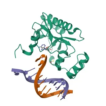 Anti-APTX Rabbit Polyclonal Antibody for WB, IF/ICC, IP, ELISA - Q7Z2E3