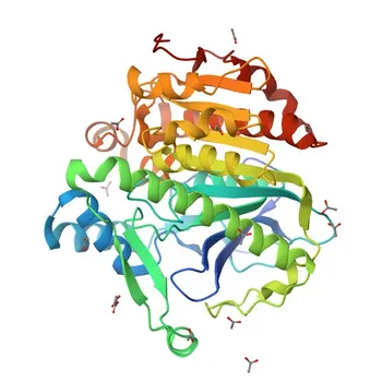 Anti-PLA2G7 Rabbit Polyclonal Antibody for WB, ELISA - Q13093