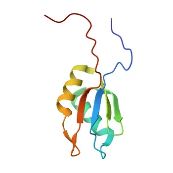 Anticorpo Policlonale Anti-RBM14 per WB, ELISA - Q96PK6