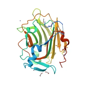 Anti-COL9A1 Polyclonal Antibody for WB and ELISA - P20849