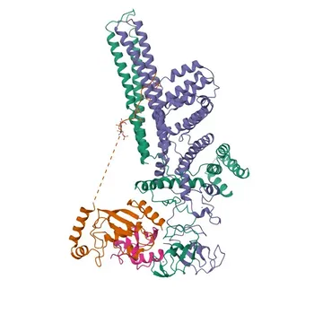 Anticorpo policlonale anti-UBE2H per WB e ELISA - P62256