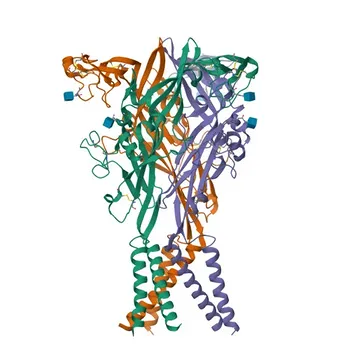 Anticorpo Policlonal Anti-P2RX2 para WB, ELISA - Q9UBL9
