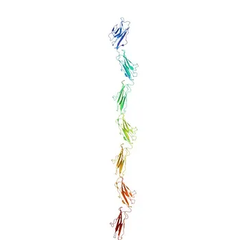 Anti-CEACAM5 Monoclonal Antibody for WB, IHC-P, ELISA - P06731
