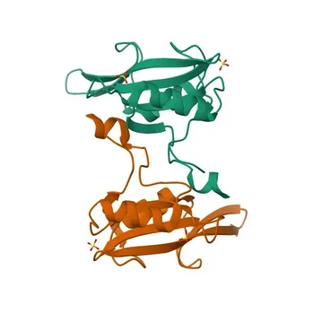 Anti-GRB7 Rabbit Polyclonal Antibody for WB and ELISA - Q14451