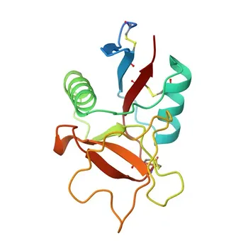 Anti-REG1A Polyclonal Antibody for WB and ELISA - P05451
