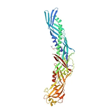 Anti-BPI Rabbit Polyclonal Antibody for WB, ELISA - P17213