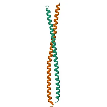 Anti-HIP1 Polyclonal Antibody for WB and ELISA - O00291