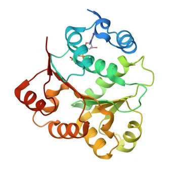 Anti-DDX20 Polyclonal Antibody for WB, IF/ICC, ELISA - Q9UHI6