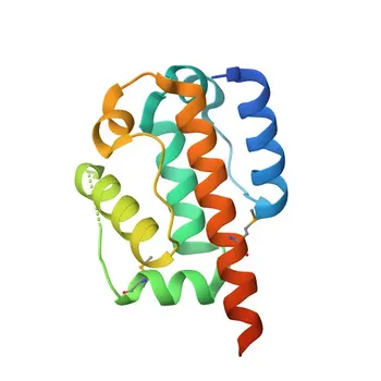 Anticorpo policlonale rabbit Anti-CEP44 per WB, ELISA - Q9C0F1