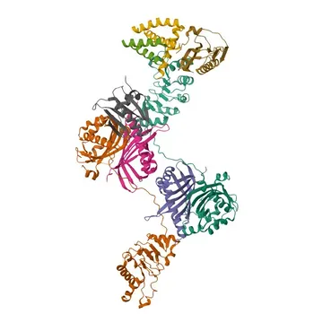 Anti-NXF1 Rabbit Polyclonal Antibody for WB and ELISA - Q9UBU9