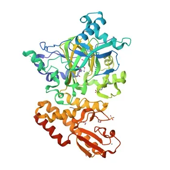 Anti-KDM5B Rabbit Polyclonal Antibody [KO Validated] for WB, IF/ICC, ELISA - Q9UGL1
