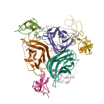 Anticorpo Policlonale Anti-TNFRSF10A per WB, ELISA - O00220