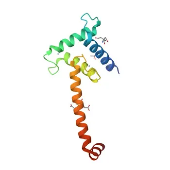 Anti-CEBPE Polyclonal Antibody for WB, ELISA - Q15744