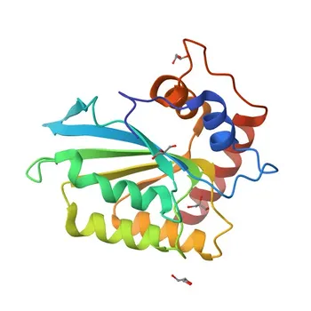 Anti-APOBEC3B Polyclonal Antibody for WB, ELISA - Q9UH17