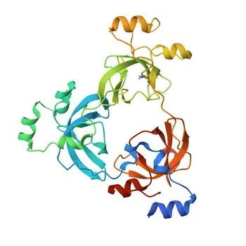 Anticorpo policlonale rabbit anti-L3MBTL1 per IF/ICC, ELISA - Q9Y468