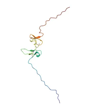 Anti-DKK4 (DKK-4) Rabbit Polyclonal Antibody for WB, ELISA - Q9UBT3