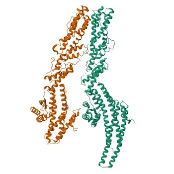 Anti-TUBGCP3 Rabbit Polyclonal Antibody for WB, ELISA - Q96CW5