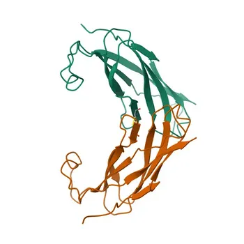 Anti-VAPB Rabbit Polyclonal Antibody for WB, IHC-P, IF/ICC, ELISA - O95292