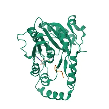 Anti-SLC39A7 (ZIP7) Rabbit Polyclonal Antibody for WB and ELISA - Q92504