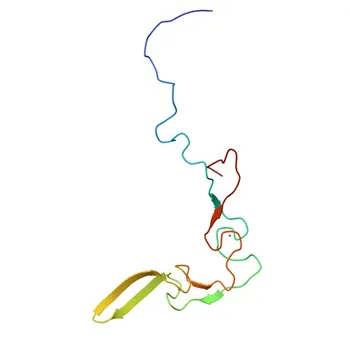 Anti-DNAJA3 Polyclonal Antibody for WB, ELISA - Q96EY1