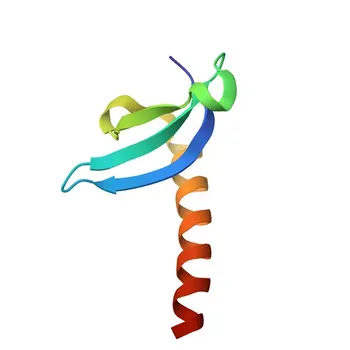 Anti-SUV39H1 Rabbit Polyclonal Antibody for WB, IHC-P, ELISA - O43463