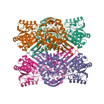 ALDH9A1 Rabbit pAb - P49189