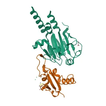 Anti-SKIL Rabbit Polyclonal Antibody for WB, ELISA - P12757