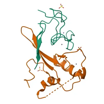 Anti-SETDB2 Rabbit Polyclonal Antibody for WB, ELISA - Q96T68