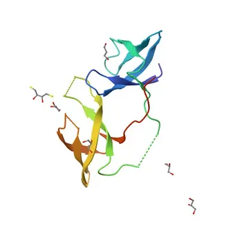 Anticorpo Policlonico de Coelho Anti-FXR1 para WB e ELISA - P51114