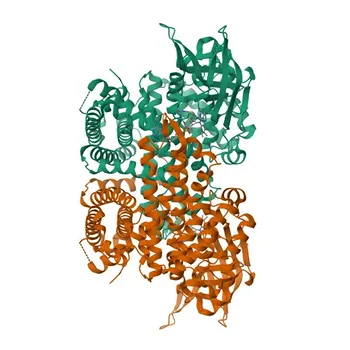 Anti-ACADVL Polyclonal Antibody for WB, IF/ICC, ELISA - P49748