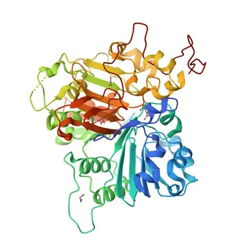 Anti-TDP1 Rabbit pAb for WB, IF/ICC, ELISA - Q9NUW8