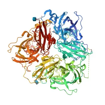 Anti-Ceruloplasmin Polyclonal Antibody for WB, IF/ICC, ELISA - P00450