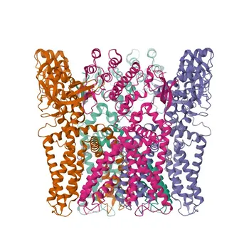 Anti-TRPV1 Polyclonal Antibody for WB, IF/ICC, ELISA - Q8NER1