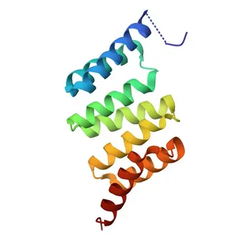 Anti-SGTA Rabbit Polyclonal Antibody for WB, IF/ICC, ELISA - O43765