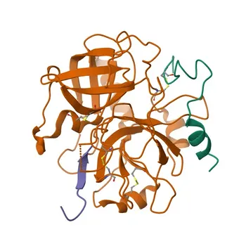 Anti-F2RL3 Polyclonal Antibody for WB, ELISA - Q96RI0