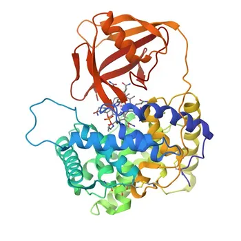 Anti-TCN2 (Transcobalamin-2) Rabbit Polyclonal Antibody for WB, ELISA - P20062