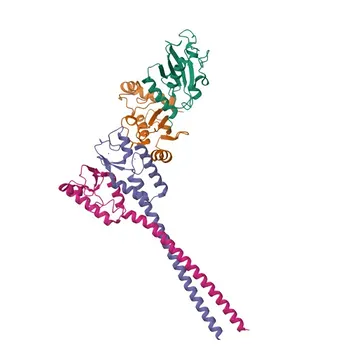 Anti-RNF8 Polyclonal Antibody for WB, ELISA - O76064